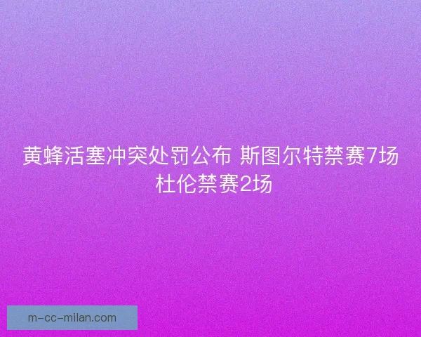 黄蜂活塞冲突处罚公布 斯图尔特禁赛7场 杜伦禁赛2场